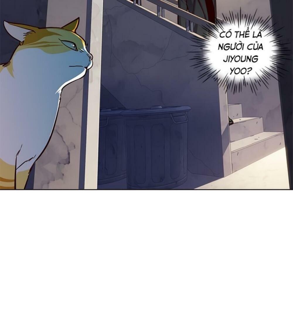 Hoá Thân Thành Mèo: Chapter 19