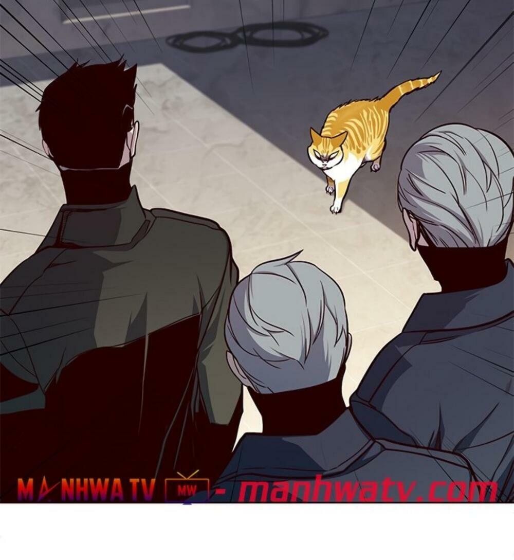 Hoá Thân Thành Mèo: Chapter 19