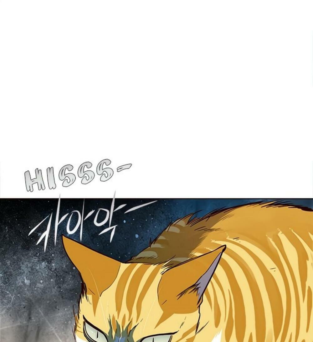 Hoá Thân Thành Mèo: Chapter 19