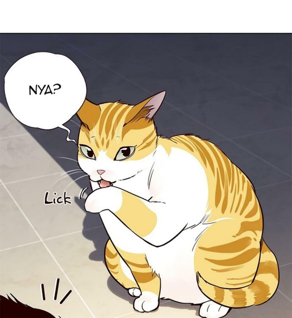 Hoá Thân Thành Mèo: Chapter 19