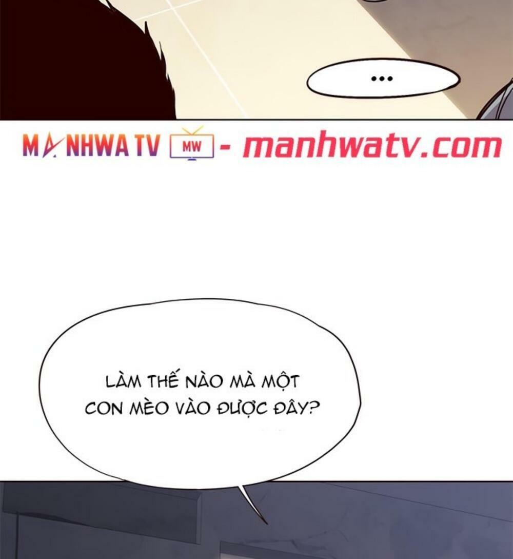Hoá Thân Thành Mèo: Chapter 19