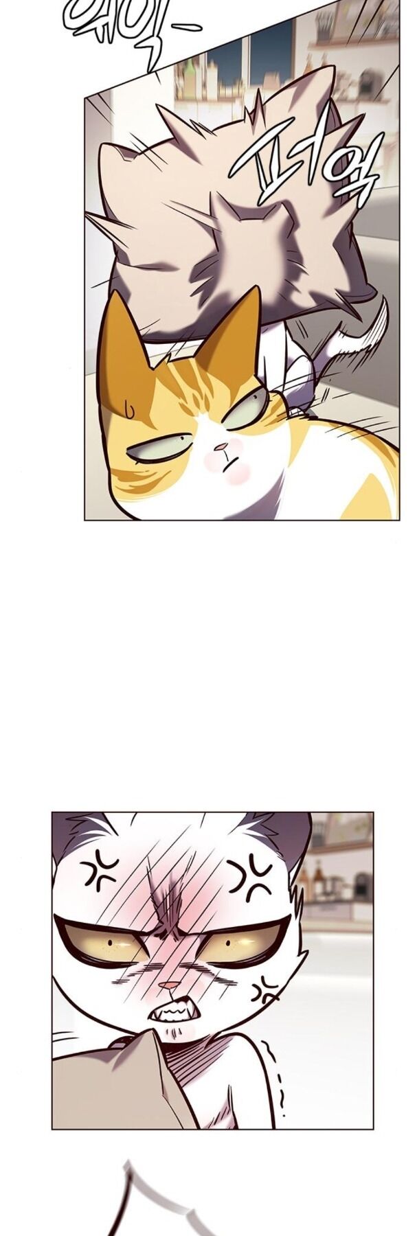 Hoá Thân Thành Mèo: Chapter 190