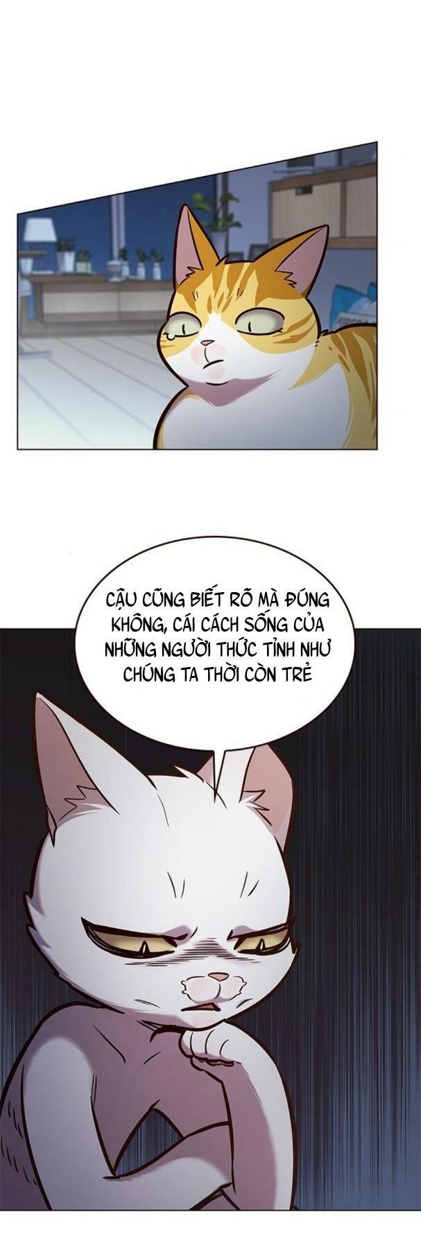 Hoá Thân Thành Mèo: Chapter 190