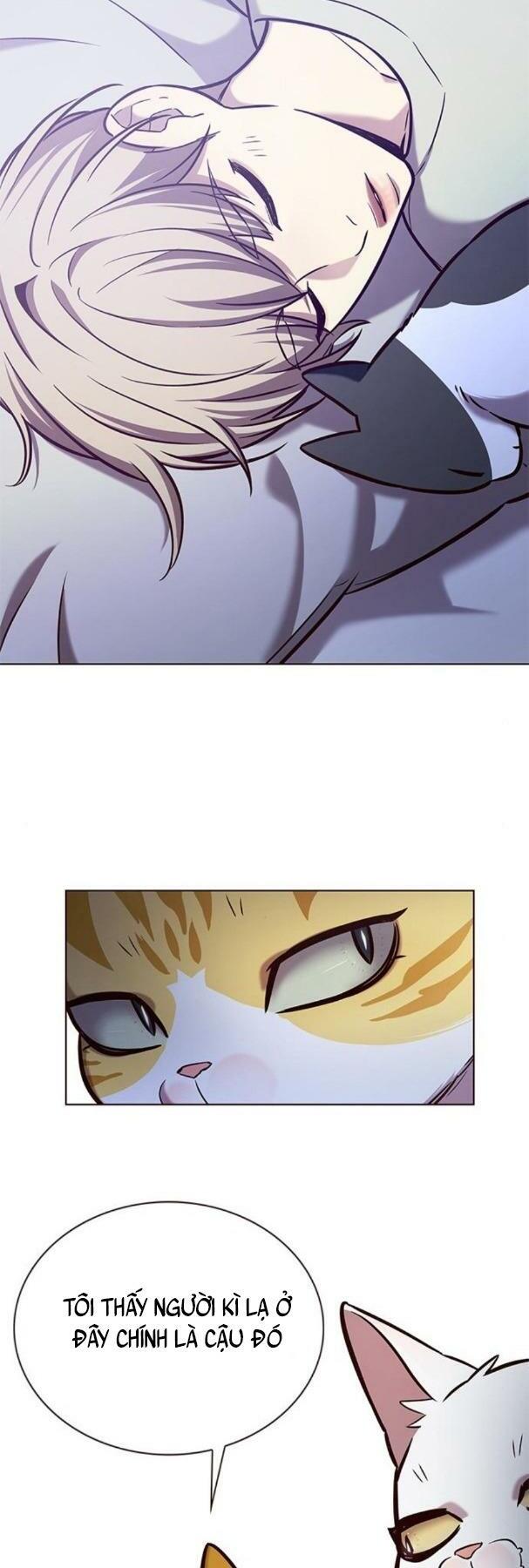 Hoá Thân Thành Mèo: Chapter 190