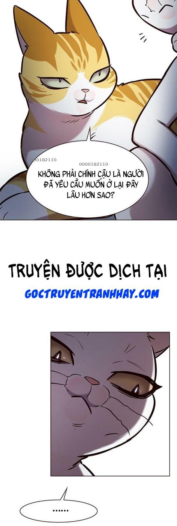 Hoá Thân Thành Mèo: Chapter 190