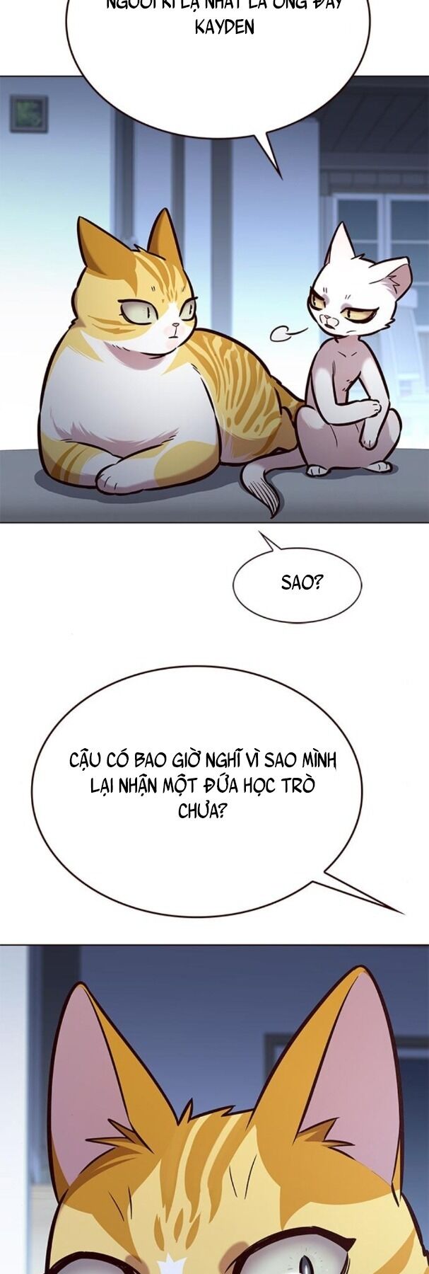 Hoá Thân Thành Mèo: Chapter 190