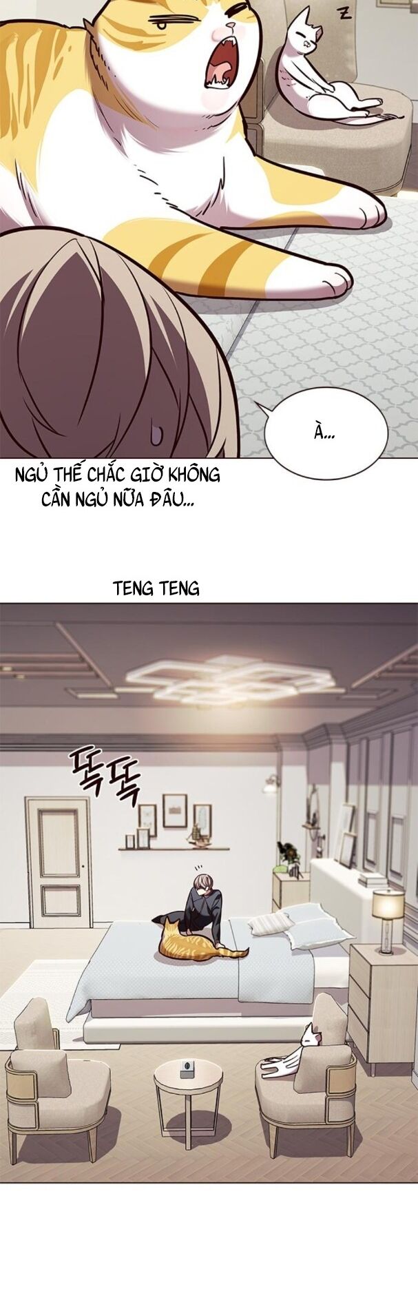 Hoá Thân Thành Mèo: Chapter 195