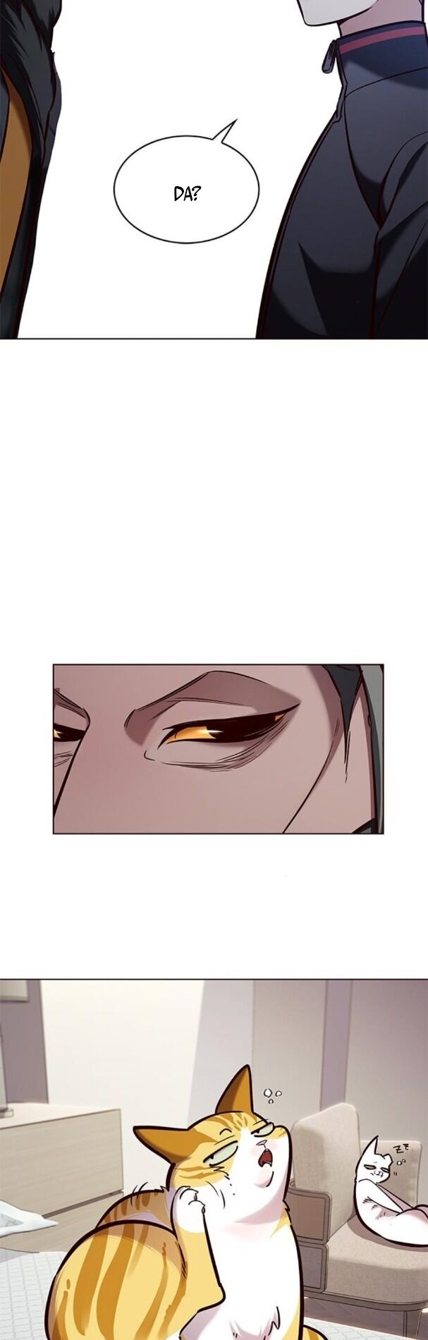 Hoá Thân Thành Mèo: Chapter 195