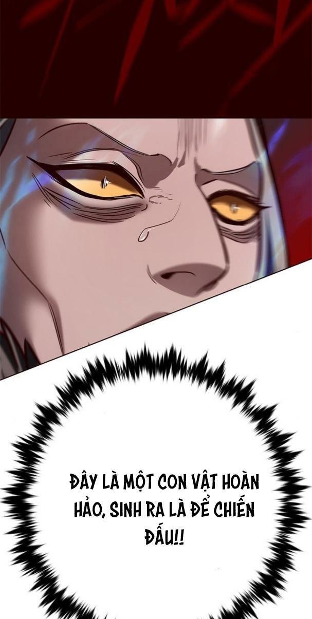 Hoá Thân Thành Mèo: Chapter 195