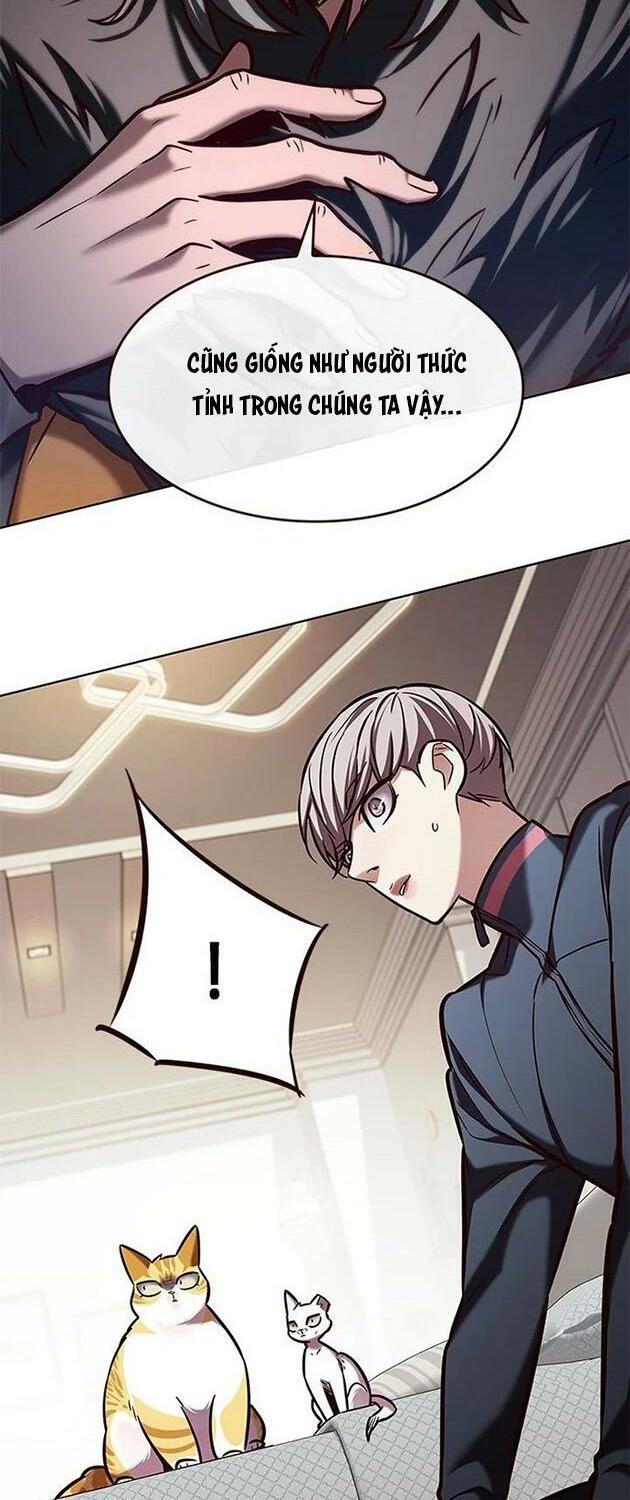 Hoá Thân Thành Mèo: Chapter 196