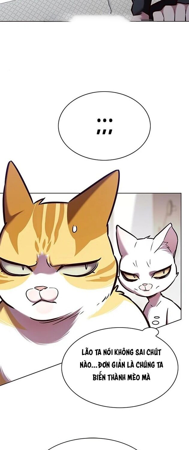 Hoá Thân Thành Mèo: Chapter 196