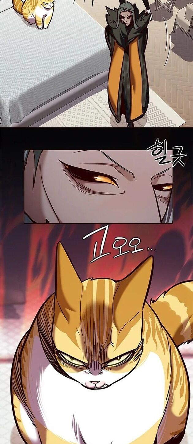 Hoá Thân Thành Mèo: Chapter 196