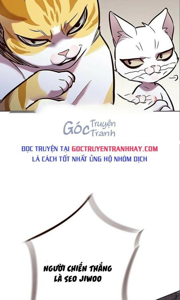 Hoá Thân Thành Mèo: Chapter 198