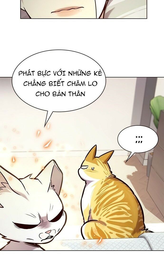 Hoá Thân Thành Mèo: Chapter 199
