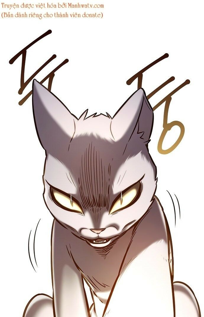 Hoá Thân Thành Mèo: Chapter 199