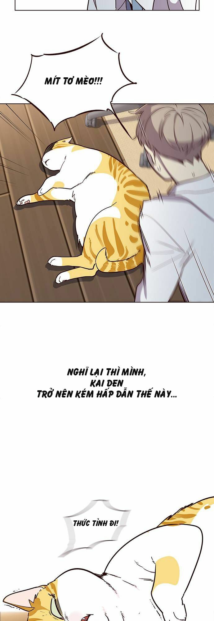 Hoá Thân Thành Mèo: Chapter 2