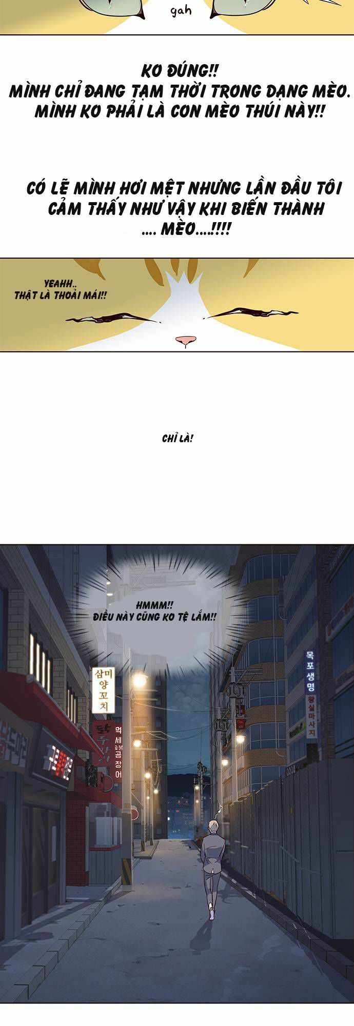 Hoá Thân Thành Mèo: Chapter 2
