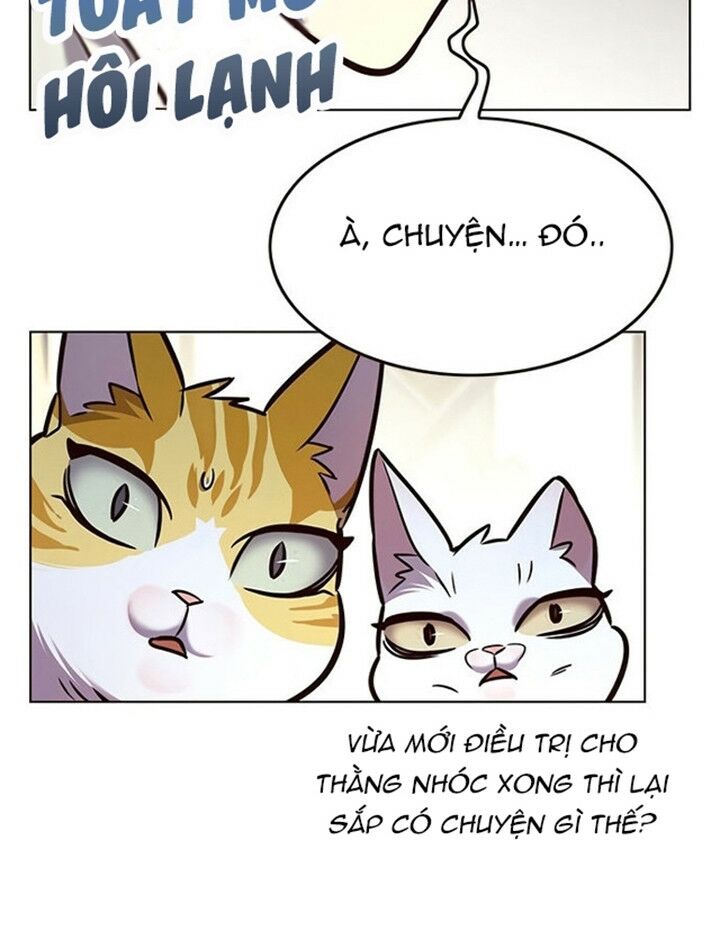 Hoá Thân Thành Mèo: Chapter 200