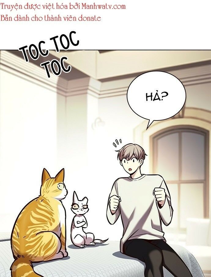 Hoá Thân Thành Mèo: Chapter 201