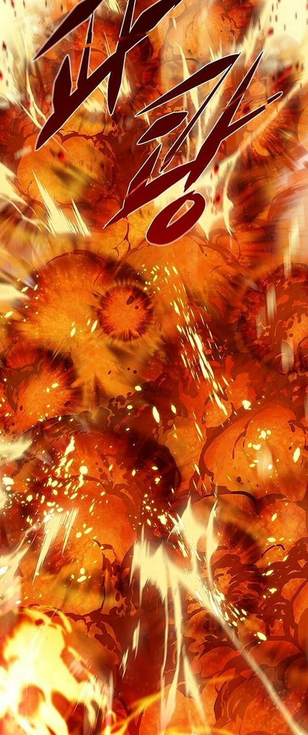 Hoá Thân Thành Mèo: Chapter 204