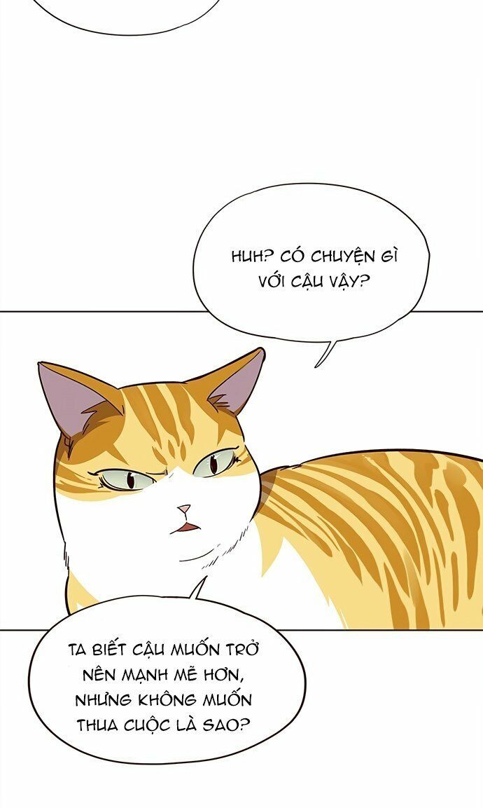 Hoá Thân Thành Mèo: Chapter 21