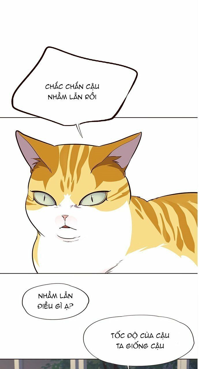 Hoá Thân Thành Mèo: Chapter 21