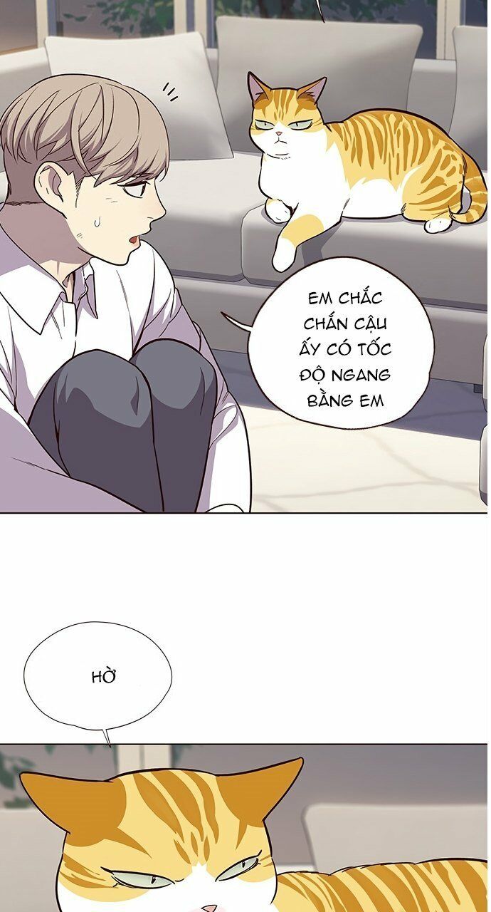 Hoá Thân Thành Mèo: Chapter 21