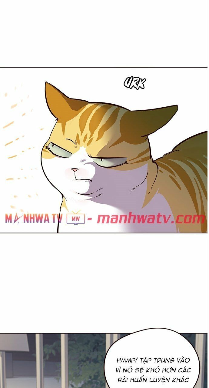 Hoá Thân Thành Mèo: Chapter 21