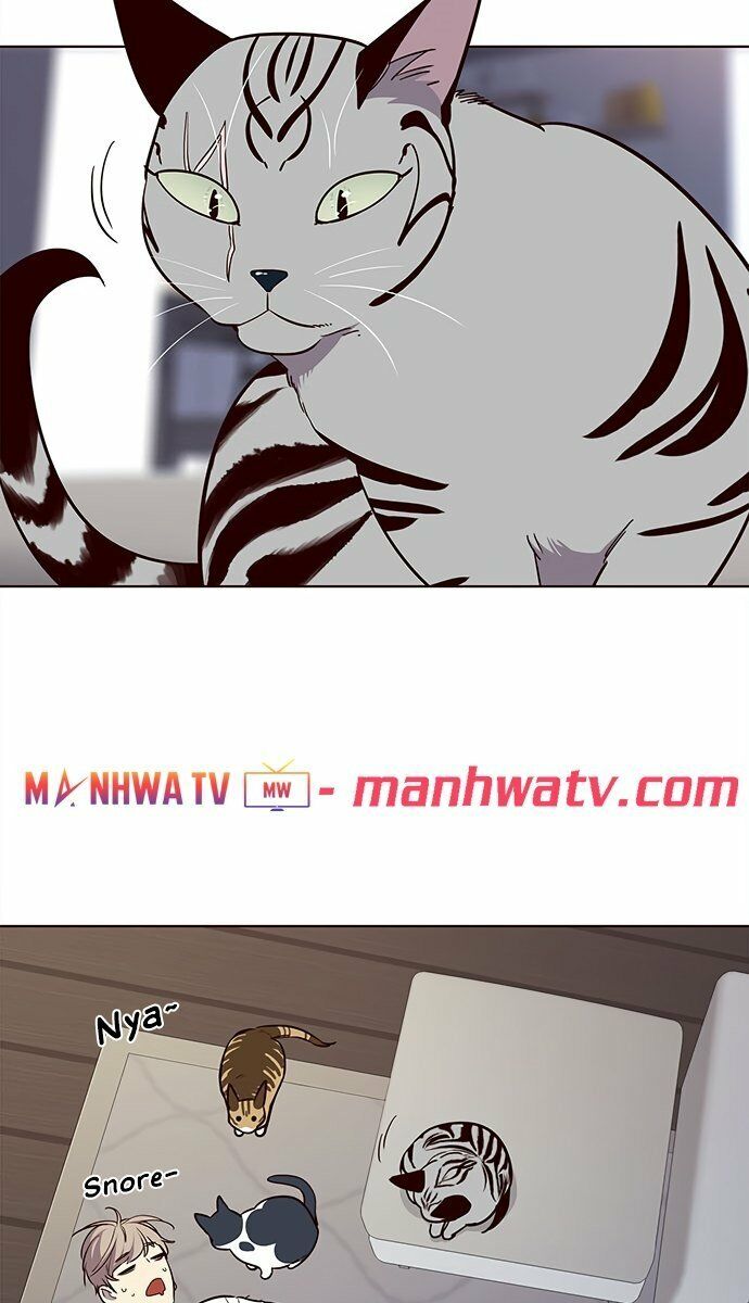 Hoá Thân Thành Mèo: Chapter 21