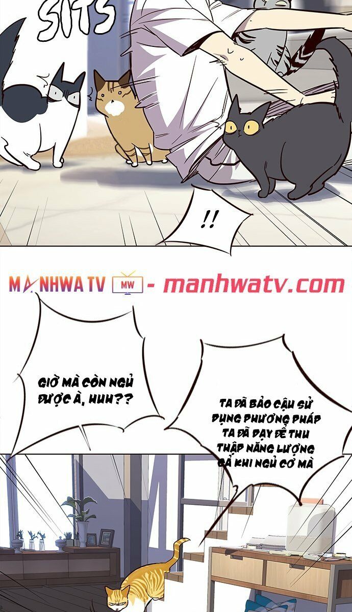 Hoá Thân Thành Mèo: Chapter 21