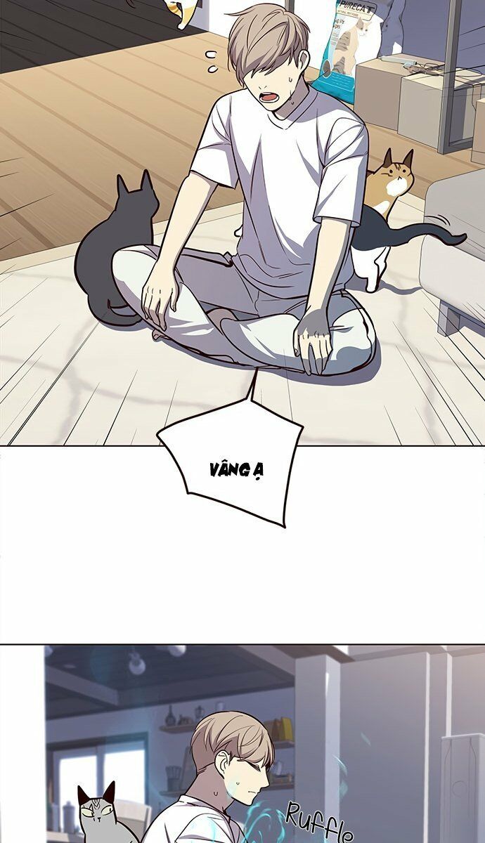 Hoá Thân Thành Mèo: Chapter 21