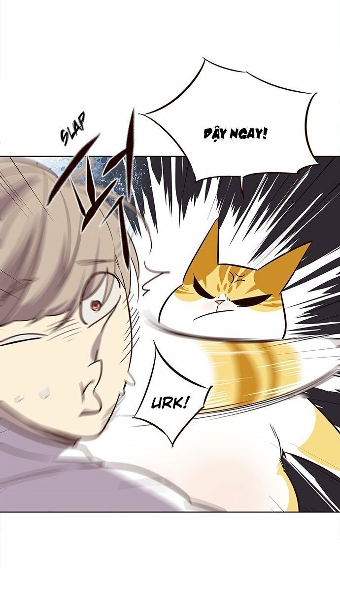 Hoá Thân Thành Mèo: Chapter 21