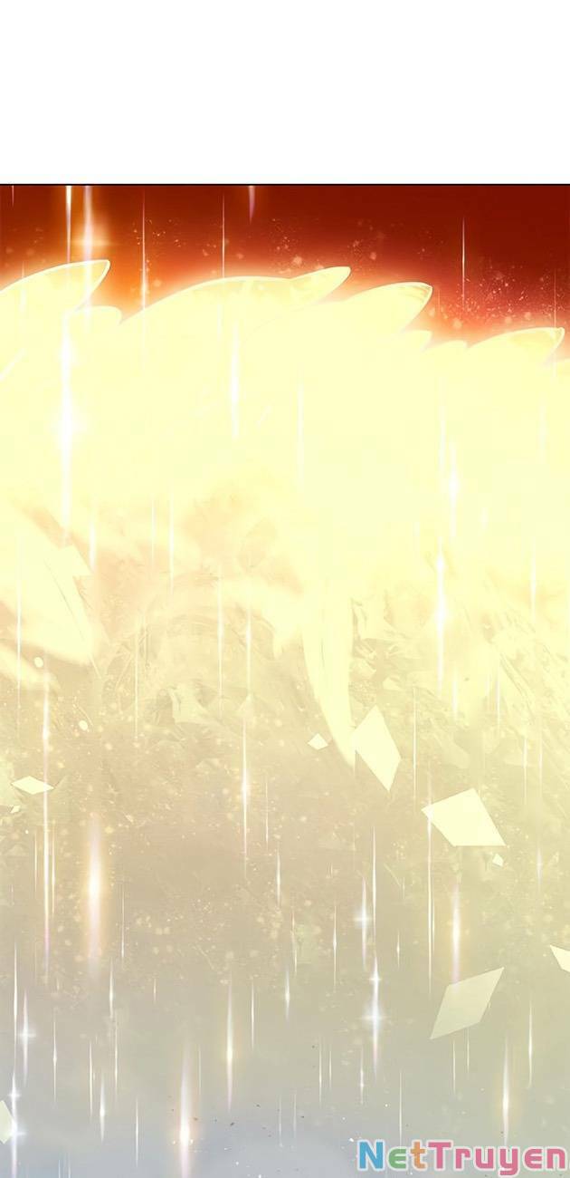 Hoá Thân Thành Mèo: Chapter 213