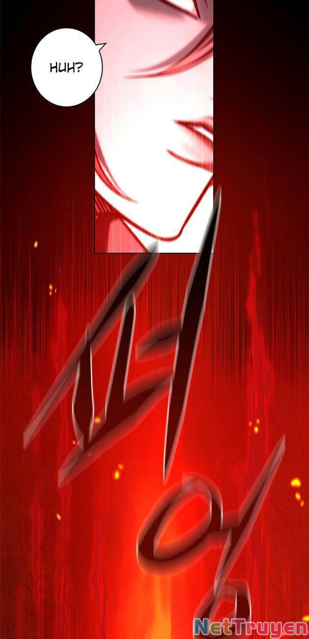 Hoá Thân Thành Mèo: Chapter 213