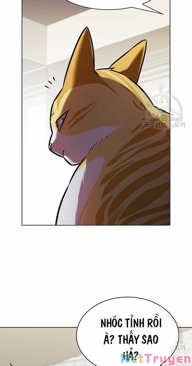 Hoá Thân Thành Mèo: Chapter 214