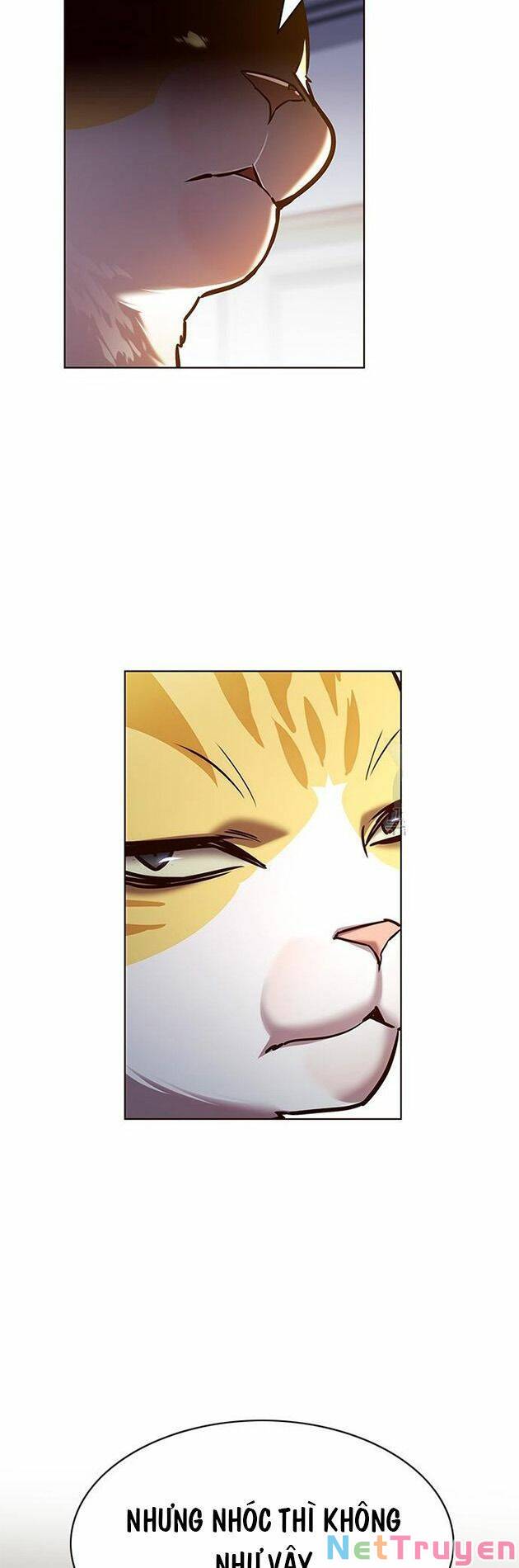 Hoá Thân Thành Mèo: Chapter 214