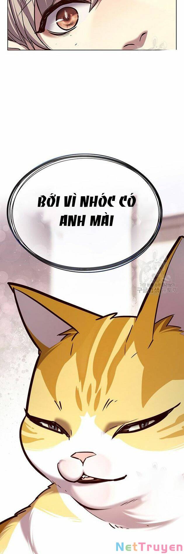 Hoá Thân Thành Mèo: Chapter 214