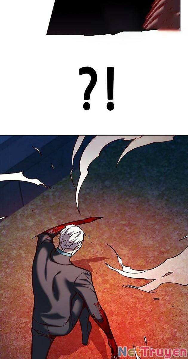Hoá Thân Thành Mèo: Chapter 217