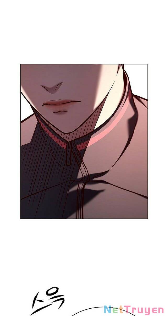 Hoá Thân Thành Mèo: Chapter 217