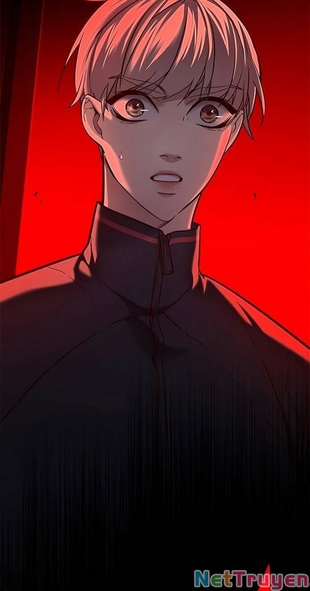 Hoá Thân Thành Mèo: Chapter 217