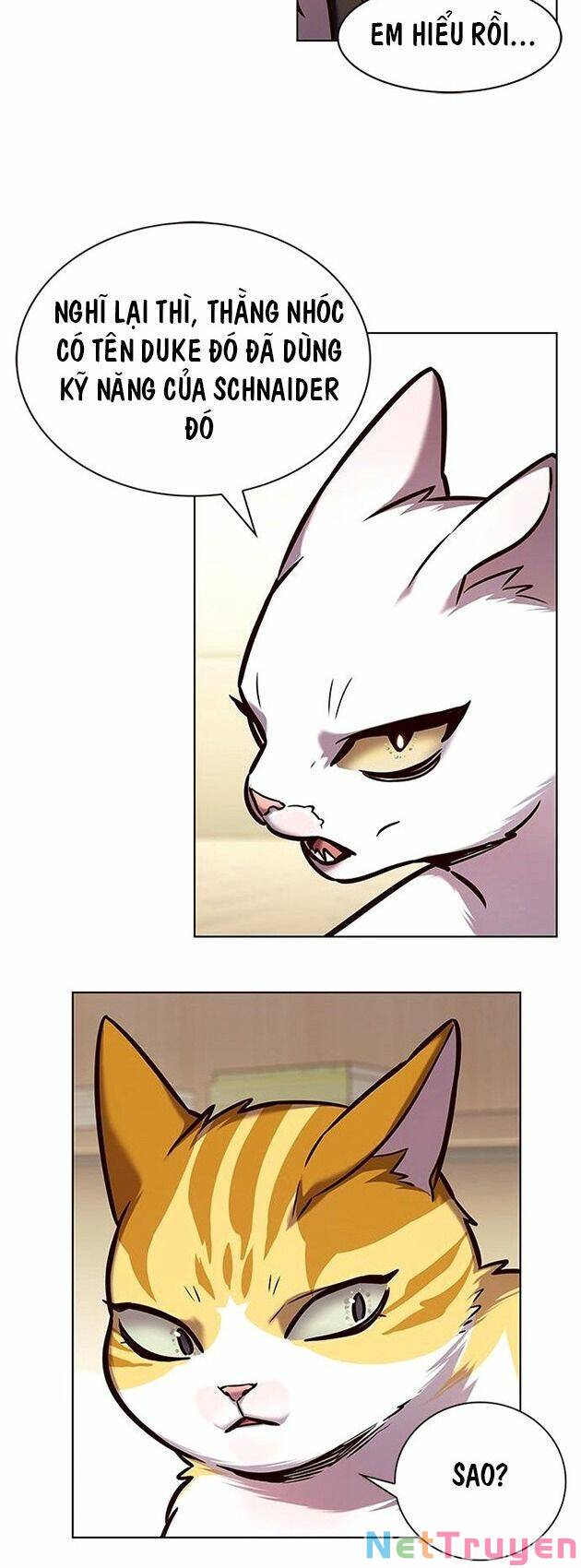 Hoá Thân Thành Mèo: Chapter 218