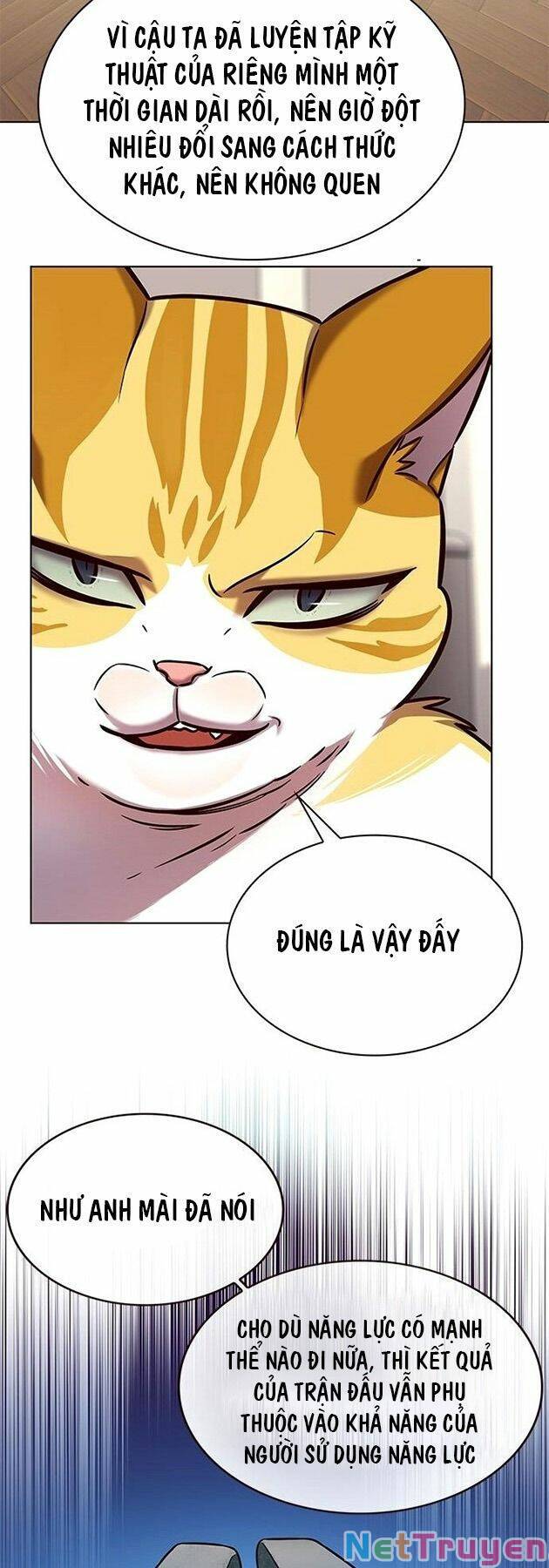 Hoá Thân Thành Mèo: Chapter 218