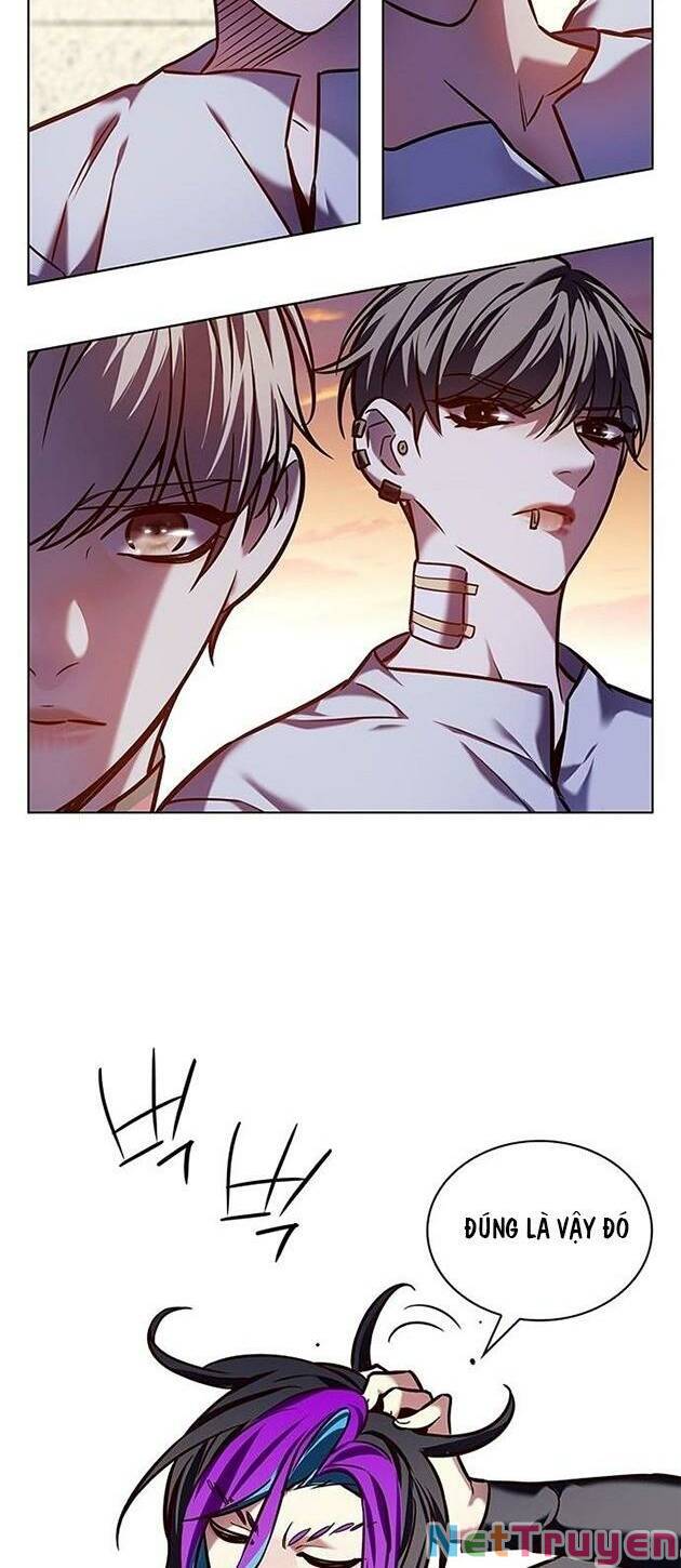 Hoá Thân Thành Mèo: Chapter 219