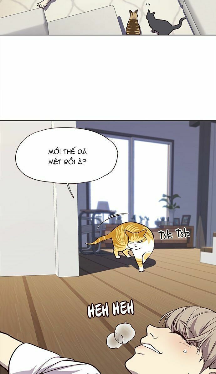 Hoá Thân Thành Mèo: Chapter 22