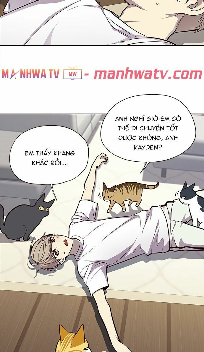 Hoá Thân Thành Mèo: Chapter 22