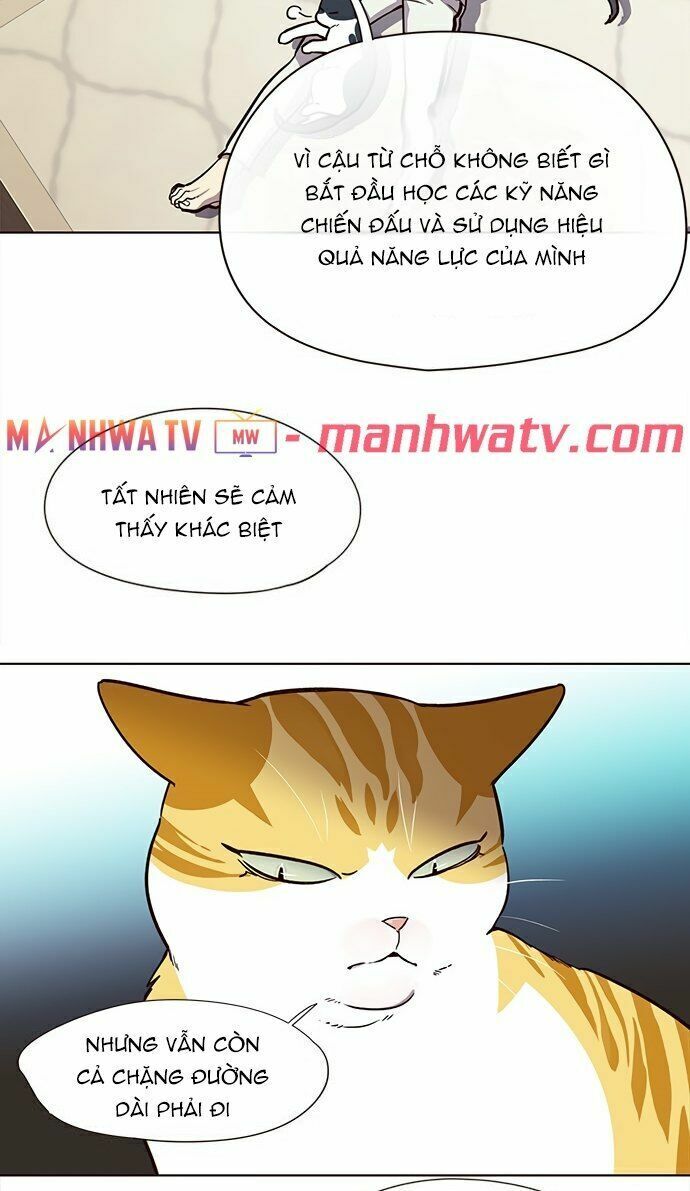 Hoá Thân Thành Mèo: Chapter 22