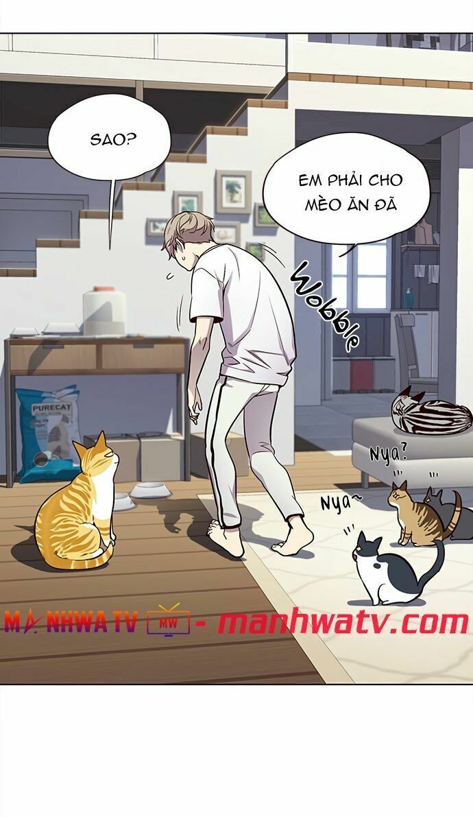 Hoá Thân Thành Mèo: Chapter 22