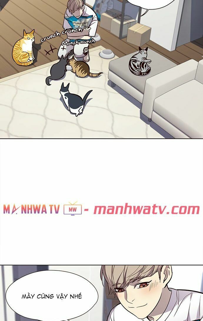 Hoá Thân Thành Mèo: Chapter 22