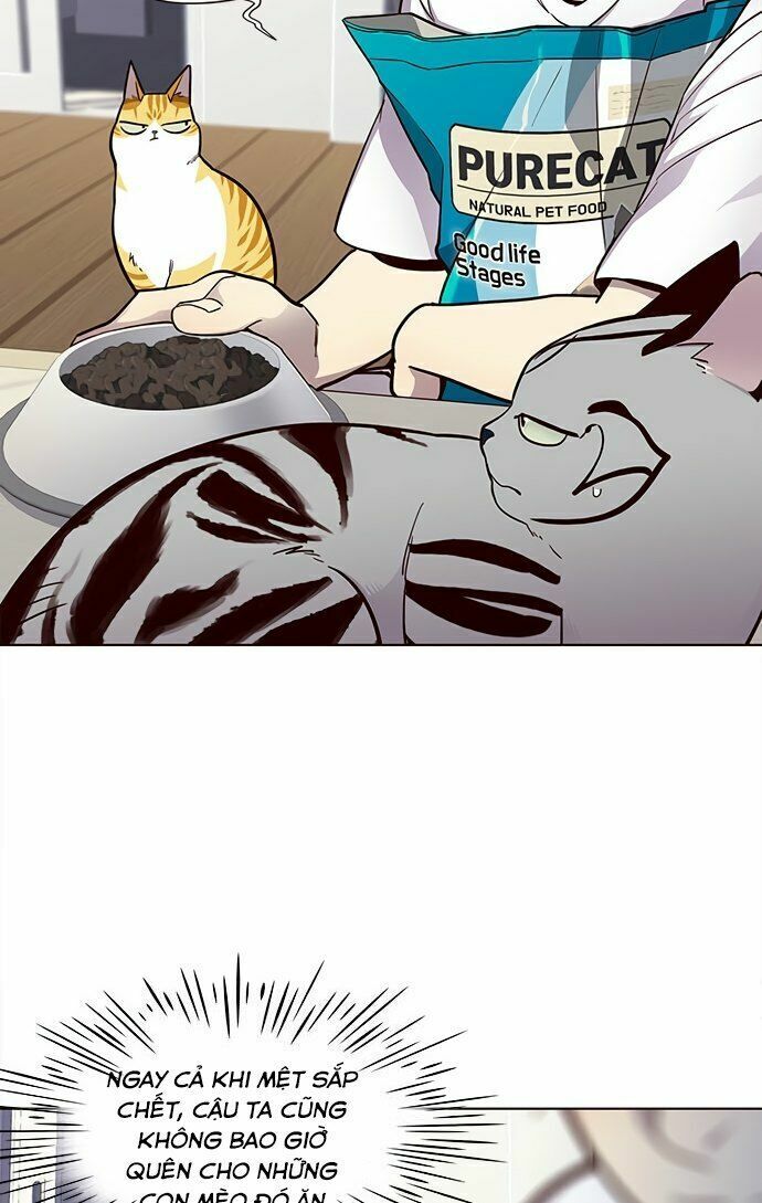 Hoá Thân Thành Mèo: Chapter 22
