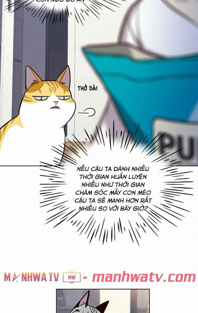 Hoá Thân Thành Mèo: Chapter 22